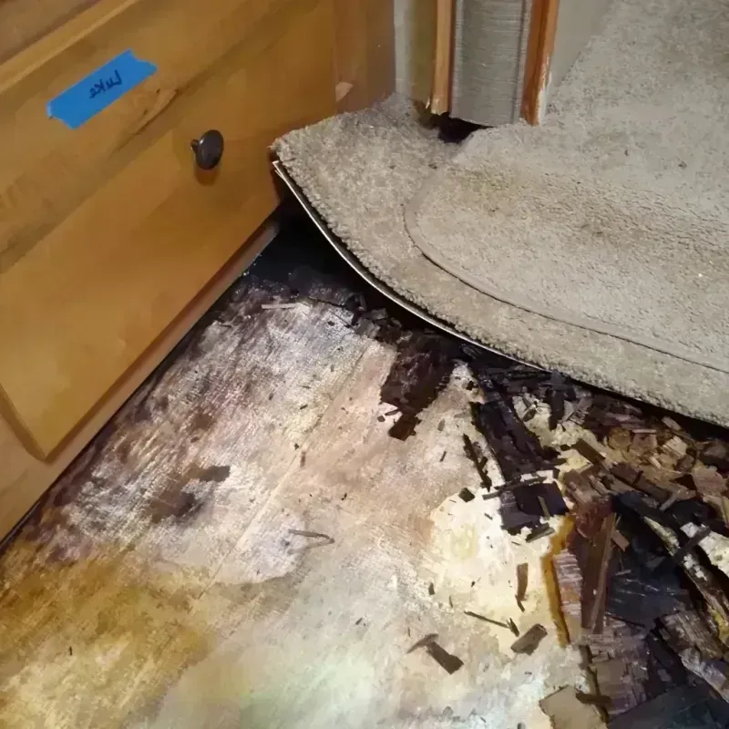 Wood Floor Water Damage in Adams County, CO